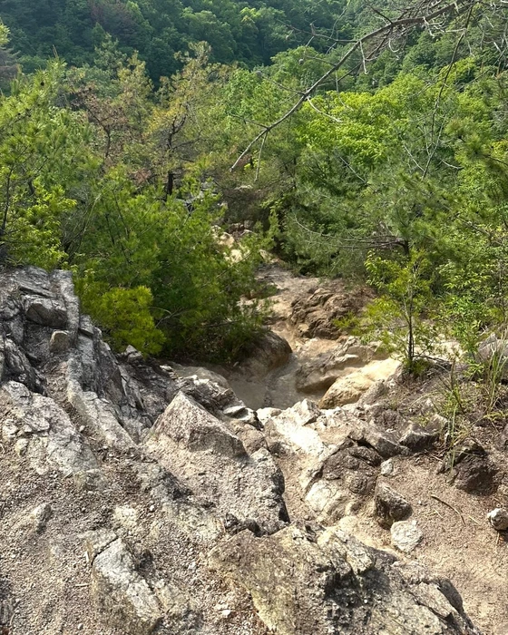 画像1397